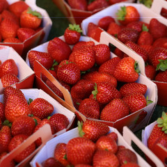 Red strawberry fruit for sale