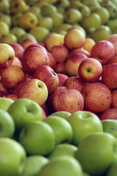 Fresh green red yellow apples