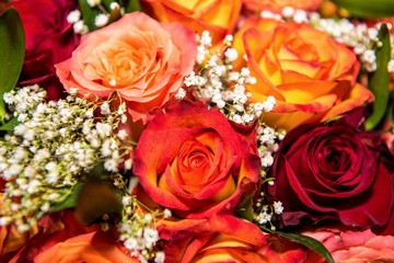 Rosestrauss