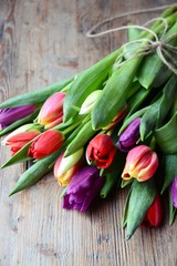 Tulips
