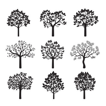 Set of Black Trees and Leafs. Vector Illustration.
