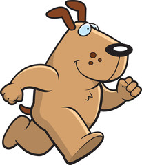 Dog Running