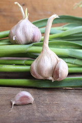Plant of garlic