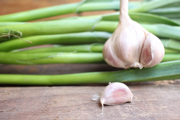 Plant of garlic