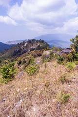 Fototapeta na wymiar mountain in doi inthanon, Chiangmai Thailand