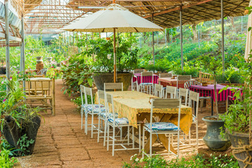 Fototapeta premium dining table set in lush garden