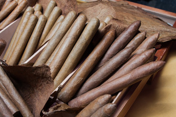 stack of hand made canarian cuban cigars parejos on wooden table
