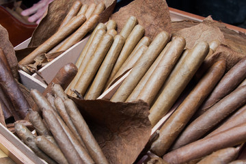 stack of hand made canarian cuban cigars parejos on wooden table