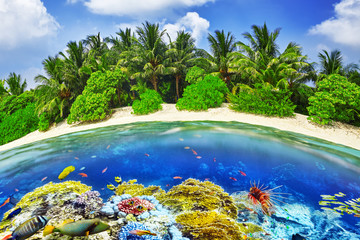 Tropical island and the underwater world in the Maldives. Thoddo