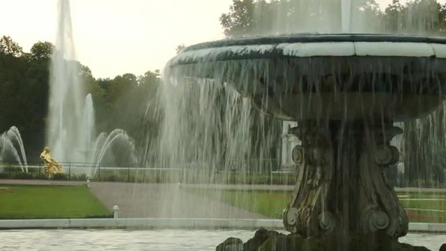 Fountain view in the park - Peterhof Russia