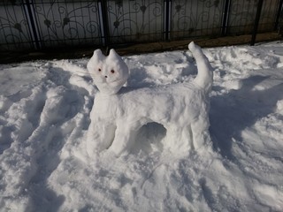 Cat made from snow