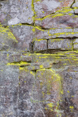 old wall with moss and mold
