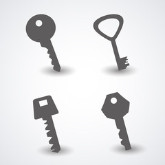 Set of keys. Vector