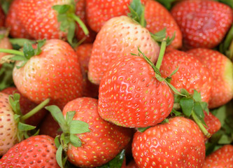 Fresh Strawberry Background