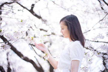 桜と女性