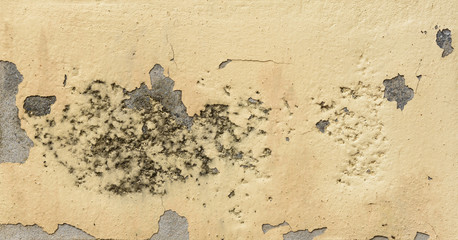 grunge old yellow cement wall