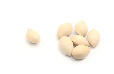 ginkgo on white background