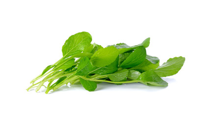 fresh green turnip on the white background