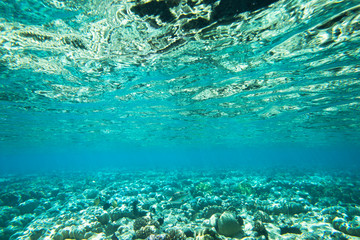 Tranquil underwater