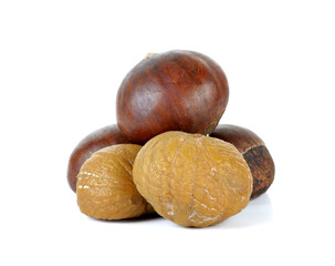 Chestnut isolated on the white background