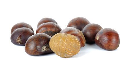 Chestnut isolated on the white background