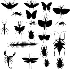 collection with twenty black insects © Alexander Potapov