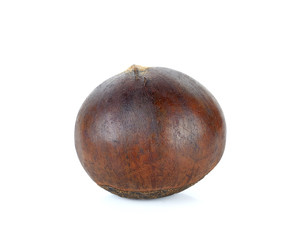 Chestnut isolated on the white background