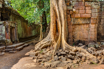 Angkor Wat Cambodia. Ta Prohm Khmer ancient Buddhist temple.