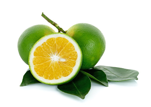 Citrus sinensis isolated on the white background