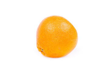 grapefruits on white background