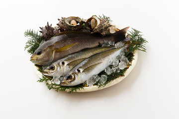 魚 海鮮盛り