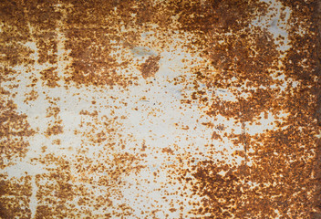 rusty metal panel