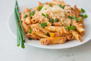 Penne pasta with healthy tuna fish, cheese and chopped scallion or spring onion leaves. Served on a white oval plate