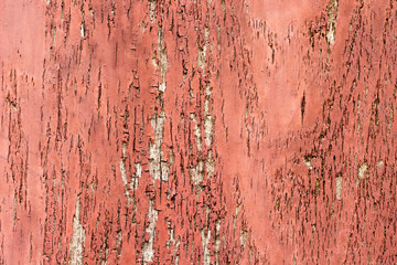 wood texture. background old panels