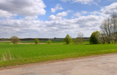 Fototapeta premium Natural landscape.