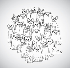 Group cats black and white isolate on white. 