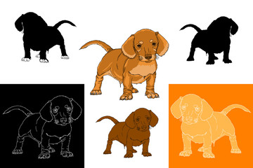 set dachshund dog 