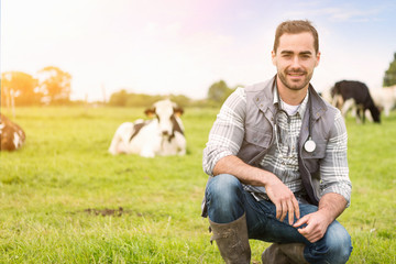 Naklejka na ściany i meble Portrait of a Young attractive veterinary in a pasture with cows