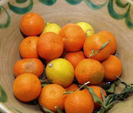 Mandarini e limoni in un contenitore di terracotta