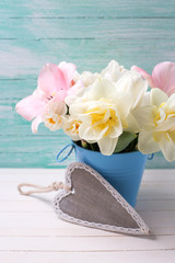 White narcissus and pink tulips in bucket with decorative heart  on white painted wooden background against turquoise wall. Selective focus..