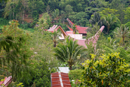 View of Tongkonan traditional roof houses in village