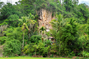 Suaya is cliffs burial site in Tana Toraja, South Sulawesi, Indonesia