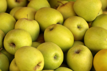 Fresh yellow apples