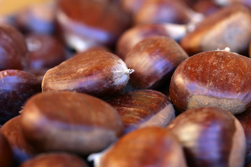 Many sweet chestnut fruit