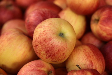 Fototapeta na wymiar Fresh red and yellow apples