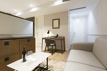 Interior of a modern hotel apartment