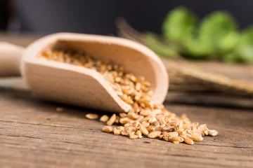 Wandaufkleber wheat of Timilia grains © zoomonpictures.it