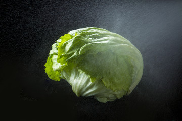 レタス　水しぶき
