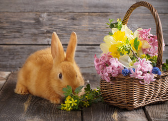little rabbit with spring flowers