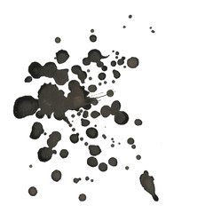 Group of black ink blots on white background.